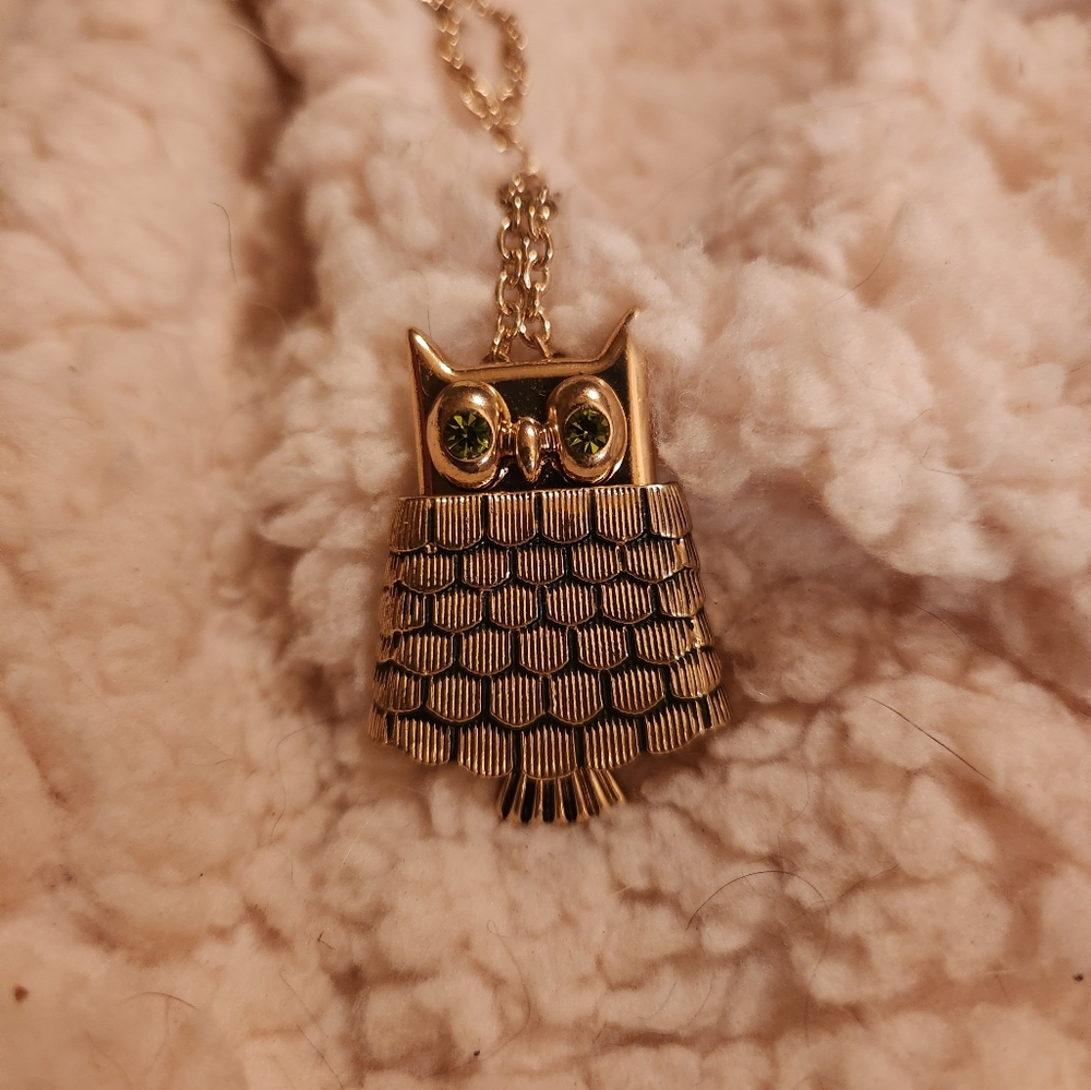 Vintage AVON Owl Necklace/Brooch/ Locket..extra long chain with extender.